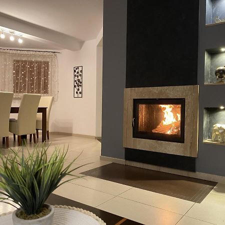 4 Bedroom Family House With Access To A Hot Tub Goczalkowice-Zdroj Exterior photo