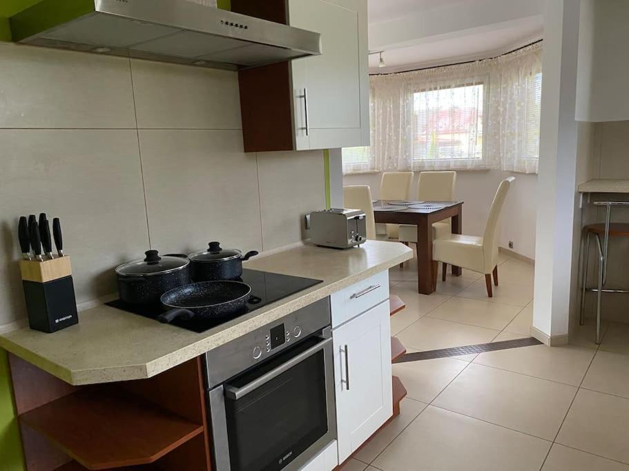 4 Bedroom Family House With Access To A Hot Tub Goczalkowice-Zdroj Exterior photo